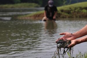 Hàng nghìn hộ dân bị đe dọa vì nguồn nước sinh hoạt ô nhiễm