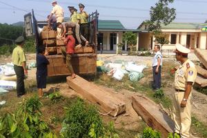 Cảnh sát giao thông bắt xe chở gỗ lậu
