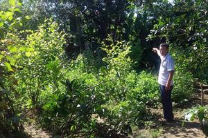 “Sổ đỏ” được cấp mới chỉ đạt hơn 10%