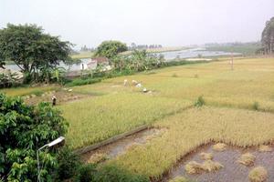 Xã tự thu và sử dụng tiền đất ở khi chưa được phép