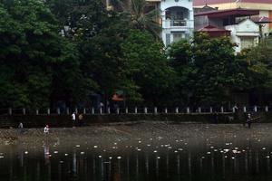 Cá sắp chết ở hồ Hoàng Cầu được người dân vớt về ăn