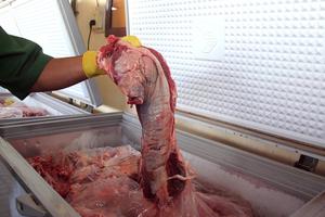 Cơ sở “hô biến” thịt trâu thành thịt bò tươi bị phạt hơn 100 triệu đồng