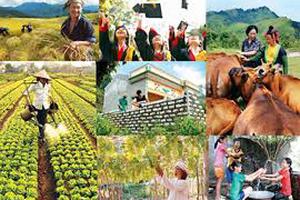 Tăng cường cho vay các chương trình giảm nghèo