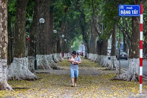 Khoảnh khắc ngọt ngào khi các ông bố Việt chăm con