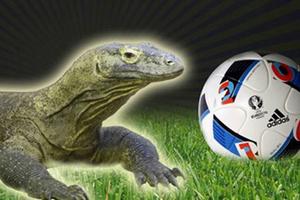 Lộ diện "nhà tiên tri" siêu hơn cả bạch tuộc Paul ở Euro 2016