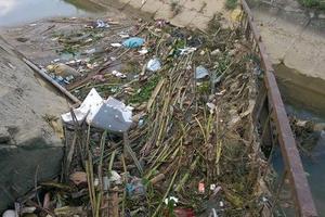 Khiếp đảm vì nước sông Nhơm ô nhiễm