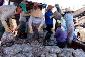 Doanh nghiệp ngừng hoạt động vì gây ô nhiễm