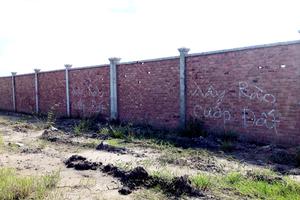 Cần xem xét trách nhiệm của Chủ tịch UBND phường Phước Long B