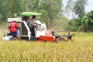 Cho vay phát triển nông nghiệp, nông thôn tăng hơn 10%