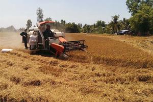 Cần xây dựng cơ chế sử dụng nguồn nước sông Mê Kông