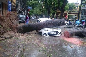 Hà Nội vẫn mưa lớn không ngớt, cây xanh đổ gục ở nhiều nơi