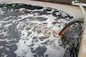 Đồng loạt thanh tra xả thải tại doanh nghiệp từ tháng 8