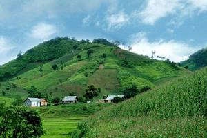 Kiên quyết chấm dứt tình trạng "hợp thức hóa" đất phá rừng