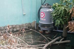 Doanh nghiệp xả nước thải có dòi bò lúc nhúc ra môi trường