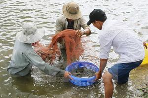 Tổng cục Thủy sản: Không bao che các vi phạm của cán bộ