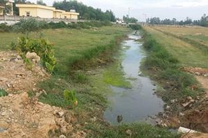 Dân phản đối Bệnh viện lao và phổi xả nước thải ra đồng lúa