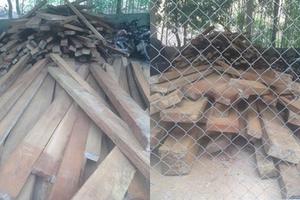 Người nhà chủ tịch xã tàng trữ gỗ lậu