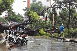 Giá mặt hàng rau xanh và thịt tươi sống tăng nhẹ