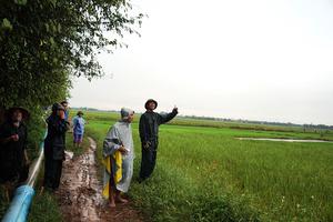 Nỗi lòng người dân mất đất sản xuất