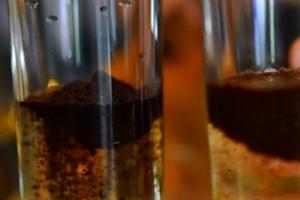 Phát hiện nhiều cà phê đểu, không có caffeine