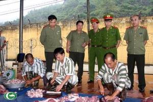 Tiến hành 70 cuộc thanh tra chuyên ngành 