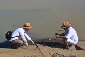 WB tài trợ 371 triệu USD giúp Việt Nam ứng phó với biến đổi khí hậu  