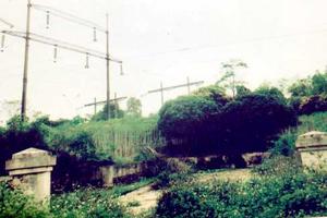 Xã Nam Sơn (Bắc Ninh): Sai phạm nặng, xử lý nhẹ?