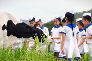 Rạng rỡ Vươn cao Việt Nam