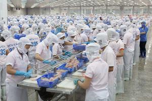 17 doanh nghiệp thủy sản được phép xuất khẩu vào Panama