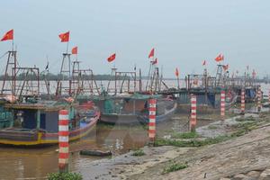 Dừng họp không cấp thiết để chỉ đạo phòng, chống bão