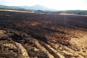 Công ty Bình Hà “nhờn luật” tiếp tục gây ô nhiễm môi trường