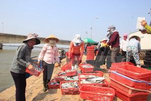 Sẽ công bố kết quả kiểm nghiệm sự cố cá chết vào đầu tháng 9