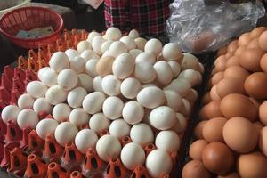 Bí ẩn nguồn gốc trứng gà ta giá rẻ bán đầy chợ