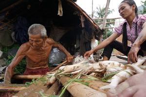 Hàng chục tấn cá chết bất thường trên sông Mã