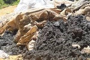  Sở TN&MT Hà Tĩnh cấp “bảo bối” cho Formosa?