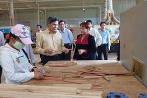 Nhiều doanh nghiệp bỗng dưng báo lỗ