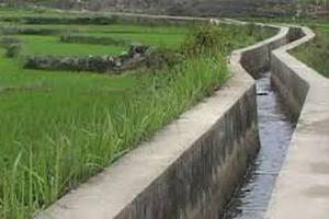 Tiếp tục thanh tra việc sử dụng thủy lợi phí tại Hải Phòng  