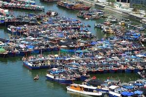 Thủ đoạn tận diệt hải sản khắp thế giới của ngư dân Trung Quốc