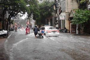 Hà Nội: 3 người bị thương, 100 cây xanh bị đổ trong cơn bão số 3