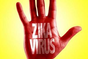 Mỹ ban bố tình trạng y tế khẩn cấp về Zika tại Puerto Rico
