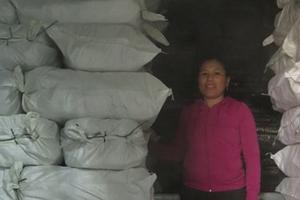 Quảng Bình tồn kho hàng nghìn tấn cá