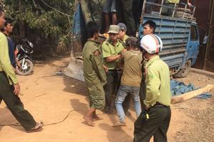 Nơm nớp lo sợ vì lâm tặc hung hãn lộng hành
