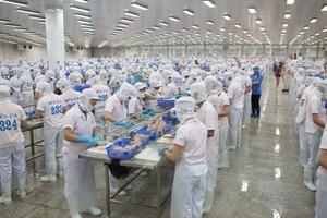 Thủy sản xuất khẩu vào Trung Quốc gặp khó