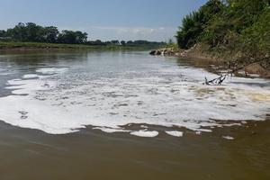 Sông Đáy “hấp hối” vì ô nhiễm môi trường