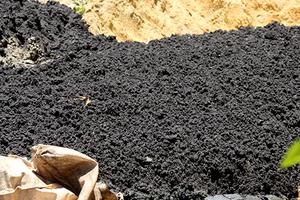 Chất thải Formosa chôn lấp trái phép có xyanua vượt ngưỡng