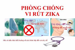 Hoa Kỳ thông báo tình trạng khẩn cấp về vi rút Zika tại Puerto Rico