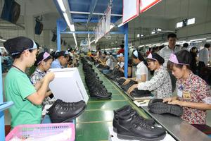 Xử phạt Công ty Jim Brother’s Phú Thọ hơn 233 triệu đồng