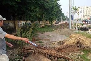 Hà Nội: Vì sao UBND quận Tây Hồ chưa xác minh nguồn gốc đất?