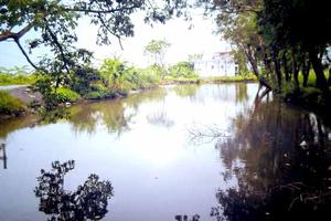 Tự đánh mất uy tín, sao đổ lỗi Báo Thanh tra?