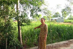 Sơn Tịnh, Quảng Ngãi: Chính quyền xã Tịnh Hà buông lỏng quản lý đất đai!
